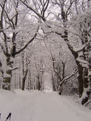 Beskid Mały - Leskowiec